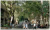 Mendoza (argentina)